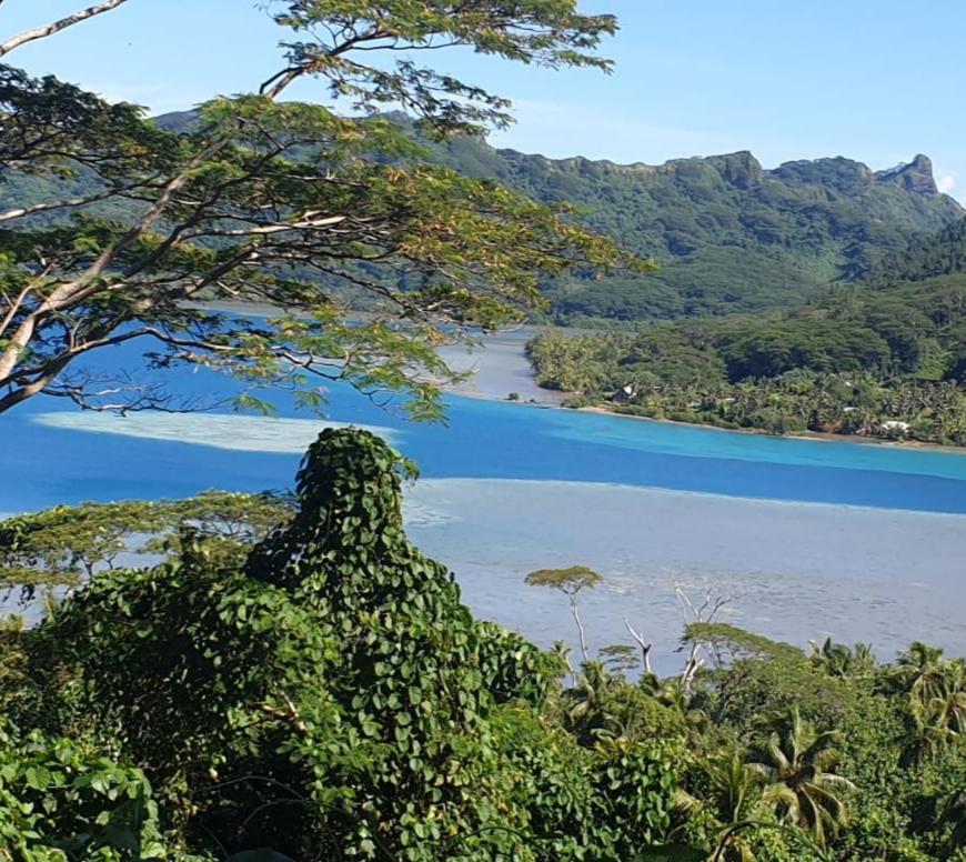 Huahine Manta Lodge Avec 4X4 Optionnel Haapu Exteriér fotografie