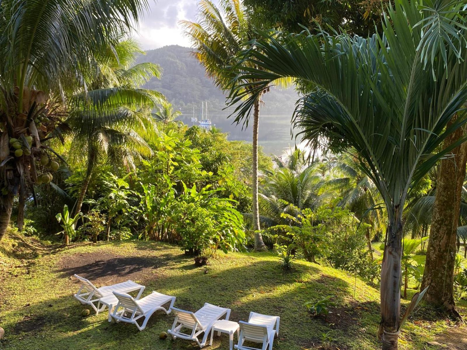 Huahine Manta Lodge Avec 4X4 Optionnel Haapu Exteriér fotografie