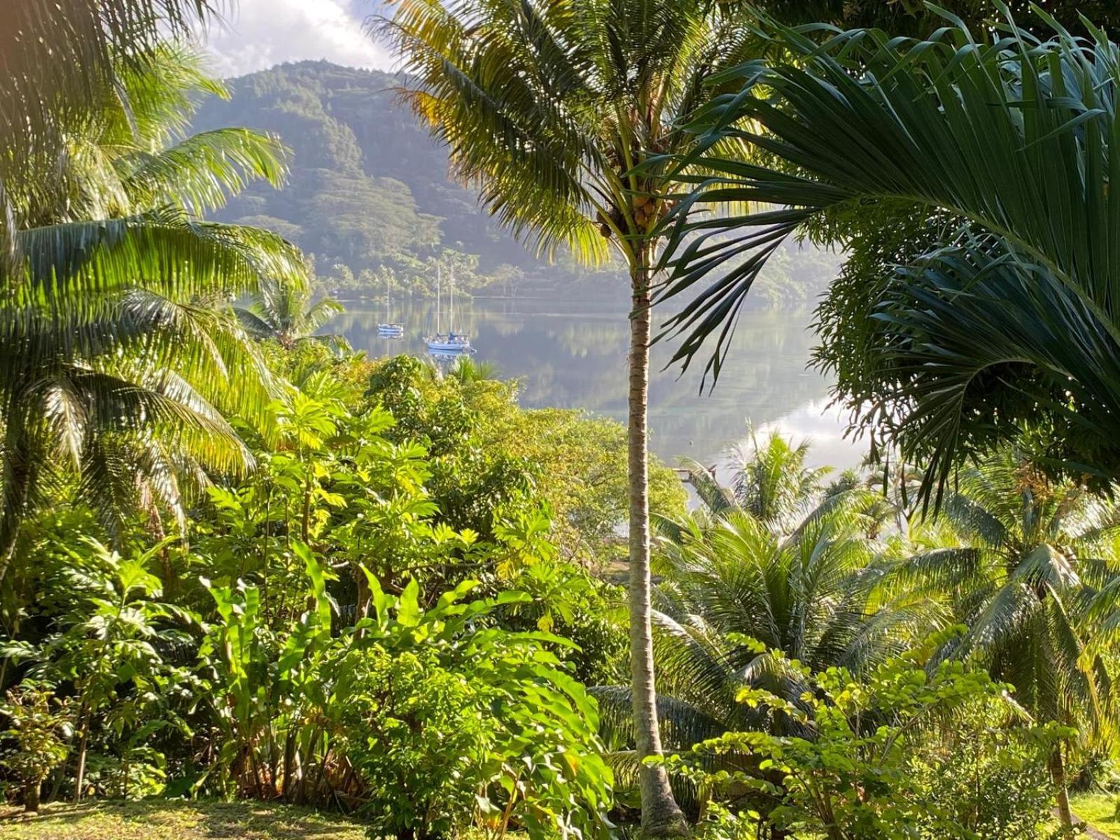 Huahine Manta Lodge Avec 4X4 Optionnel Haapu Exteriér fotografie
